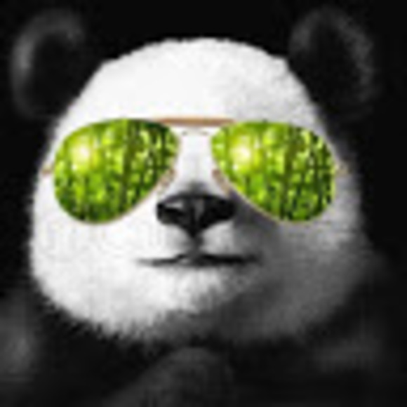 Meet your Posher, Travis - Picture 1 of 1